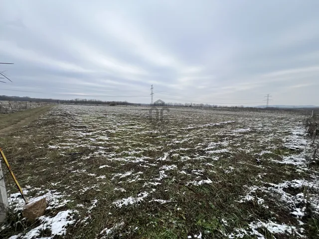 Eladó telek Szada 6227 nm