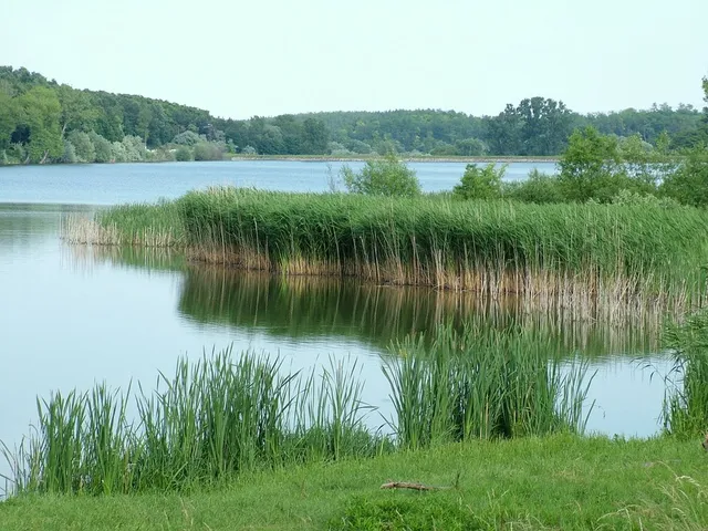 Eladó telek Gomba 2200 nm