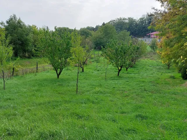 Eladó telek Gomba, Akácfasor utca 10 1579 nm