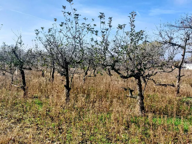 Eladó telek Pilis 3620 nm