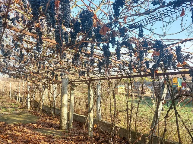 Eladó telek Pilis 1735 nm