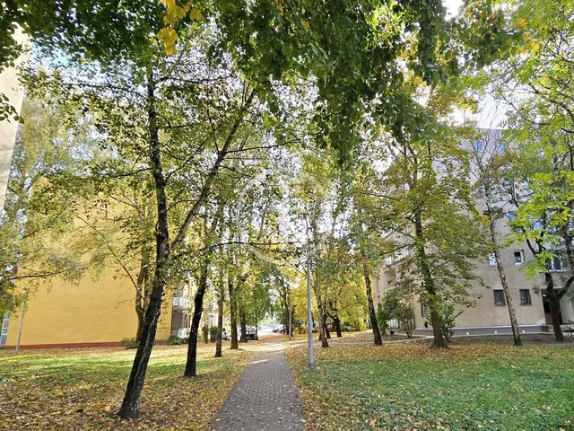 Kiadó lakás Budapest XIV. kerület, Alsórákos 54 nm