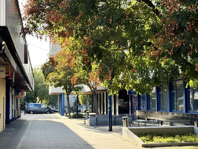 Kiadó kereskedelmi és ipari ingatlan Budapest XIV. kerület, Rákosfalva 35 nm