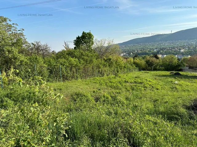 Eladó telek Budapest III. kerület, Aranyhegy 1532 nm