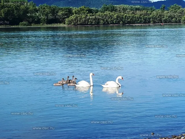 Eladó lakás Vác 84 nm