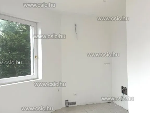 Eladó ház Leányfalu 180 nm
