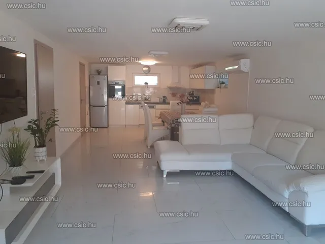 Eladó ház Szigetmonostor 240 nm