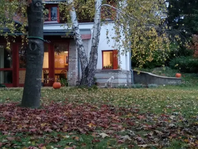 Eladó ház Budajenő 175 nm