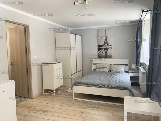 Eladó lakás Budapest IX. kerület, Ferencváros 146 nm