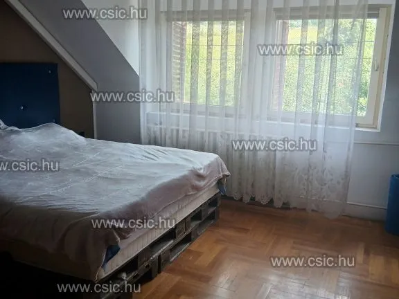 Eladó ház Pilisborosjenő 231 nm