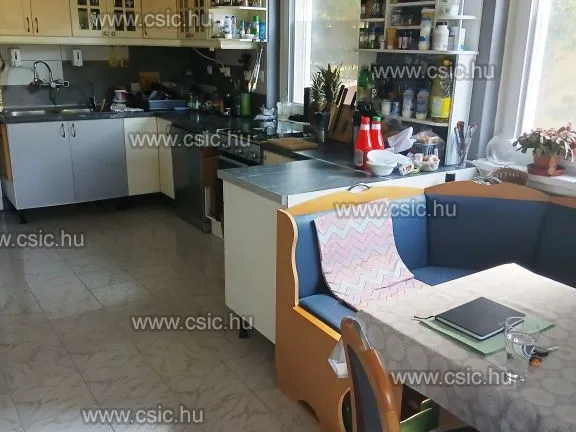 Eladó ház Pilisborosjenő 231 nm