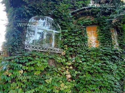 Eladó ház Budapest XII. kerület, Orbánhegy 350 nm