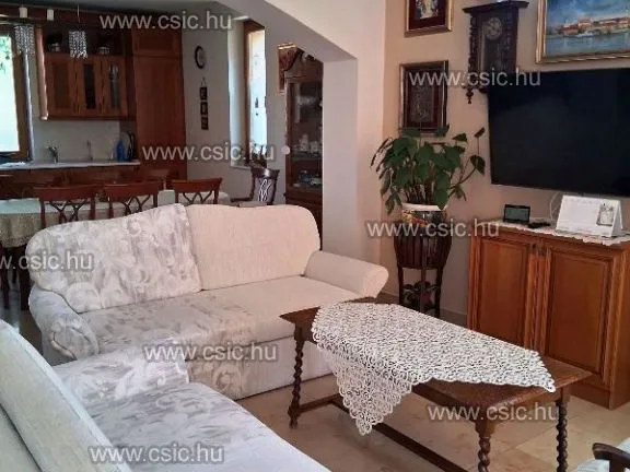 Eladó ház Vác 234 nm