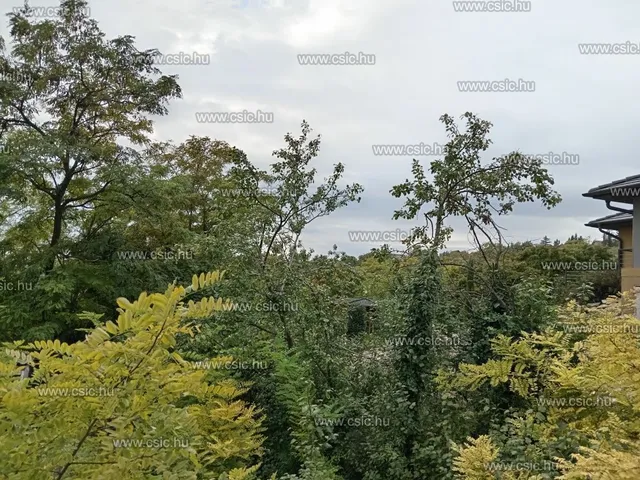Eladó telek Budaörs 754 nm