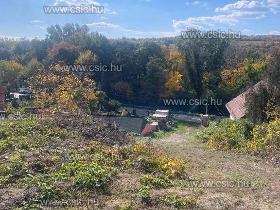 Eladó ház Szentendre 170 nm