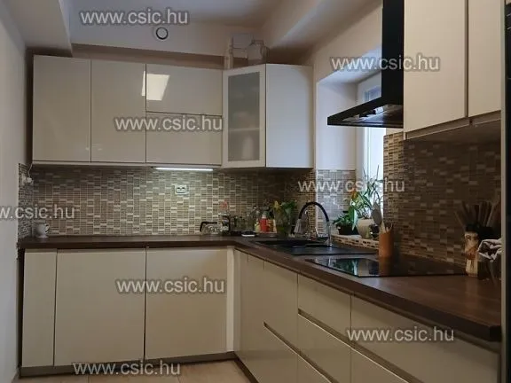 Eladó ház Dunakeszi 170 nm