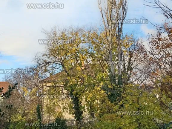 Eladó ház Budapest IV. kerület, Újpest 140 nm