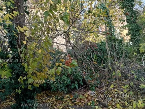 Eladó ház Budapest IV. kerület, Újpest 140 nm