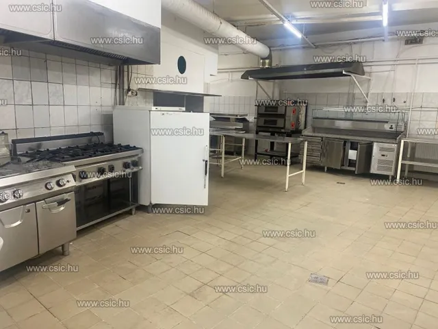 Kiadó ház Budapest XIII. kerület, Angyalföld 248 nm