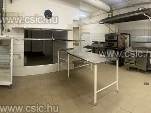 Kiadó ház Budapest XIII. kerület, Angyalföld 248 nm