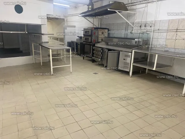 Kiadó ház Budapest XIII. kerület, Angyalföld 248 nm