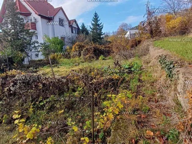 Eladó ház Budapest III. kerület, Táborhegy 200 nm
