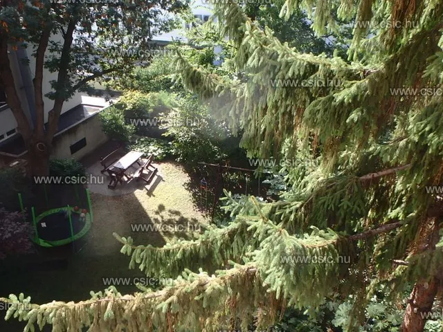 Kiadó lakás Budapest II. kerület, Országút 35 nm