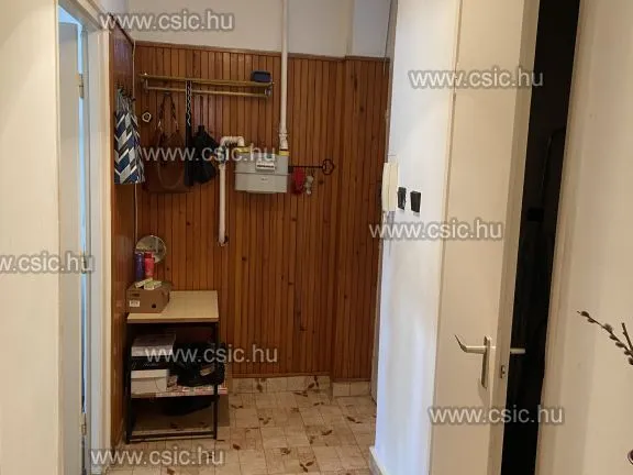 Eladó lakás Diósd 53 nm