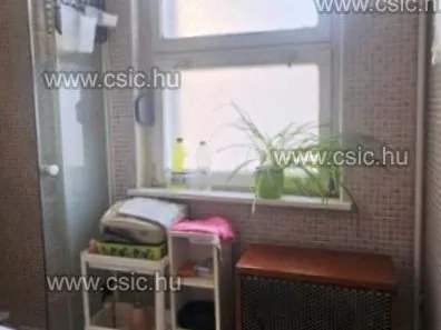 Eladó lakás Diósd 53 nm