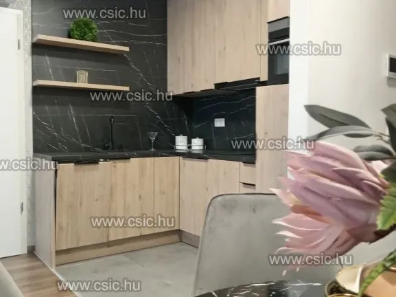 Eladó lakás Budapest XIII. kerület, Lőportárdűlő 41 nm