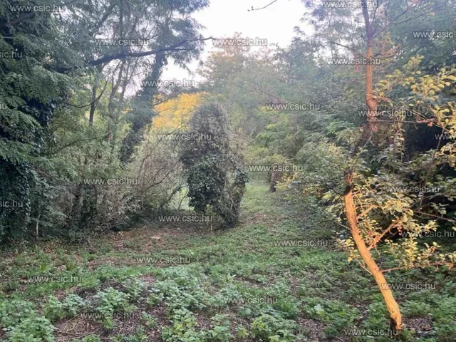 Eladó telek Törökbálint 2288 nm