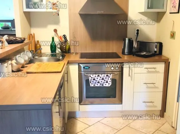 Eladó ház Tahitótfalu 125 nm