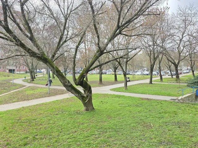 Eladó lakás Budapest III. kerület, Békásmegyeri ltp. Duna felől  57 nm