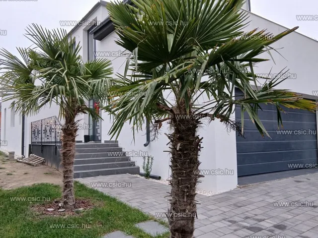 Eladó ház Budapest XVI. kerület, Árpádföld 143 nm