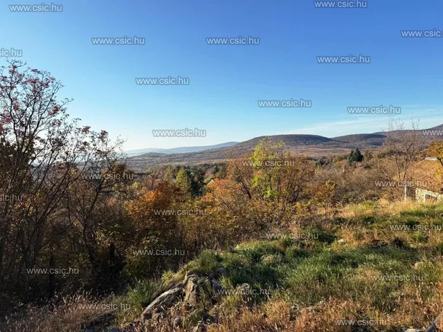 Eladó ház Szentendre 30 nm