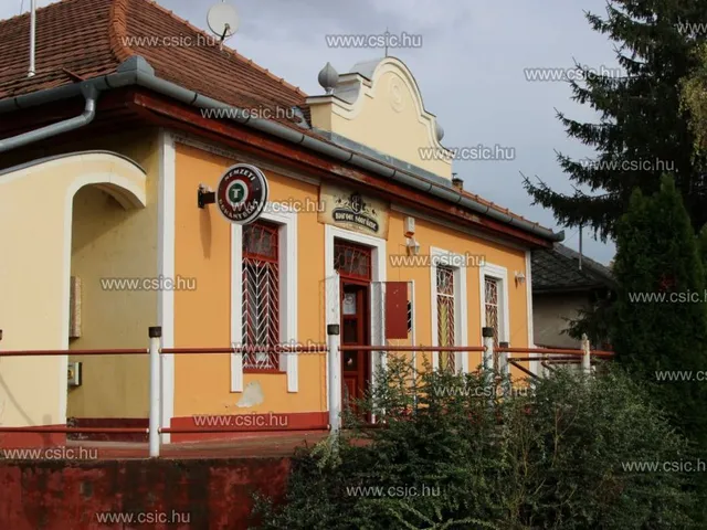 Eladó ház Domony 267 nm