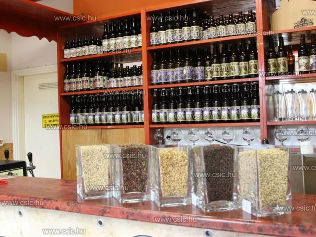 Eladó ház Domony 267 nm