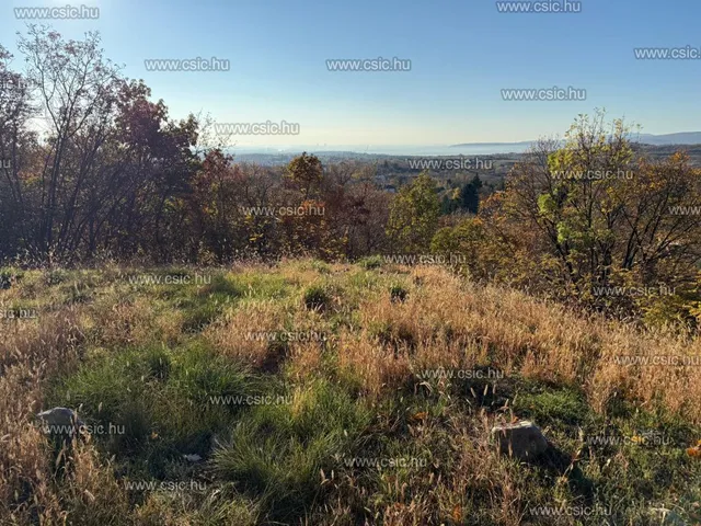 Eladó telek Szentendre 30 nm