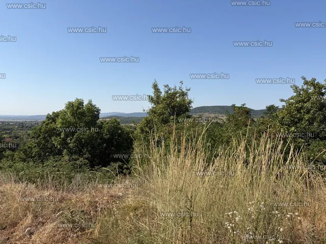 Eladó telek Szentendre 30 nm