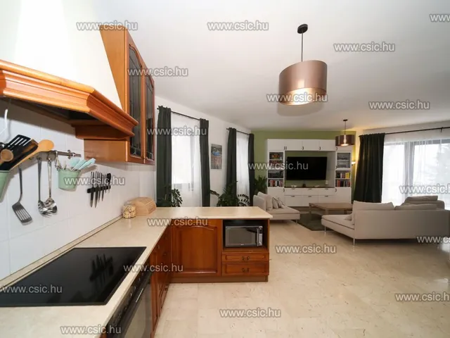 Eladó ház Budapest II. kerület, Vérhalom 270 nm