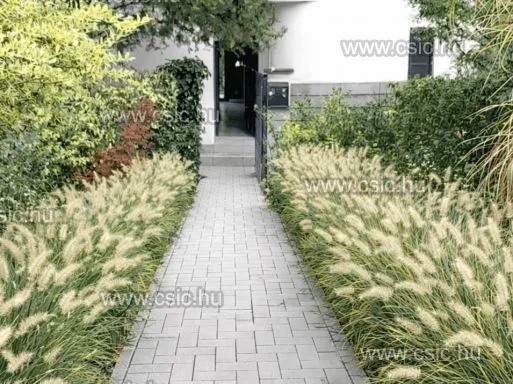 Eladó ház Telki 151 nm