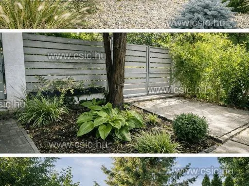 Eladó ház Telki 151 nm