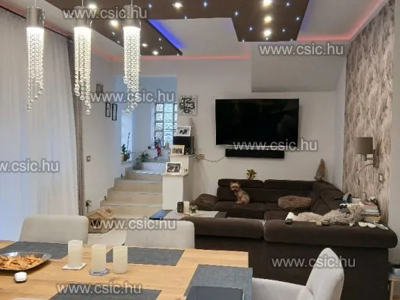 Eladó ház Dunakeszi 160 nm