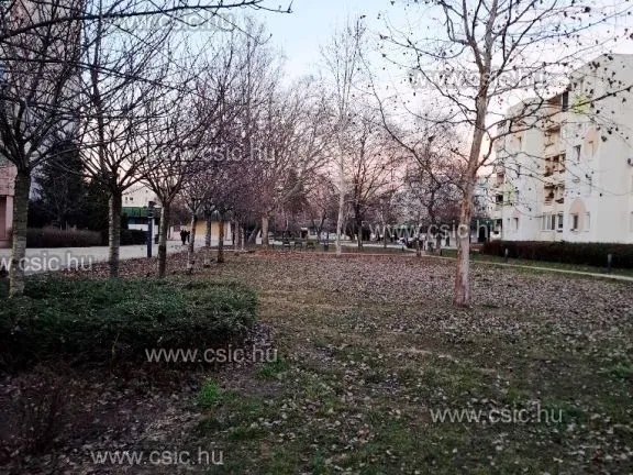 Eladó lakás Budapest III. kerület, Békásmegyer 51 nm