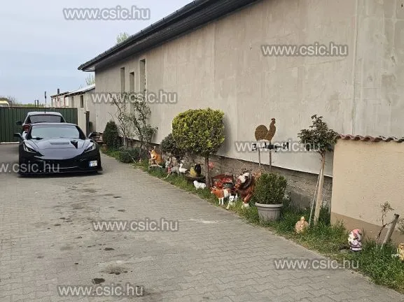 Eladó ház Örkény 160 nm