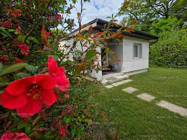 Eladó ház Szigetmonostor 74 nm