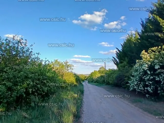 Eladó telek Törökbálint 11801 nm