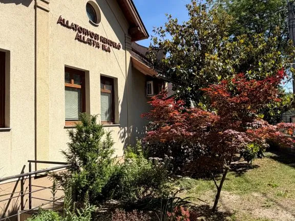 Eladó kereskedelmi és ipari ingatlan Sződliget 154 nm