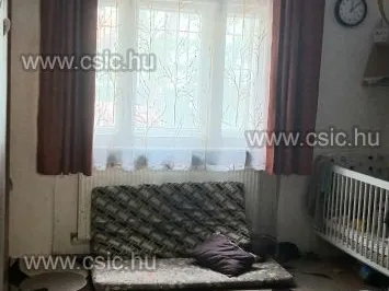 Eladó lakás Budapest XIV. kerület, Zugló 40 nm