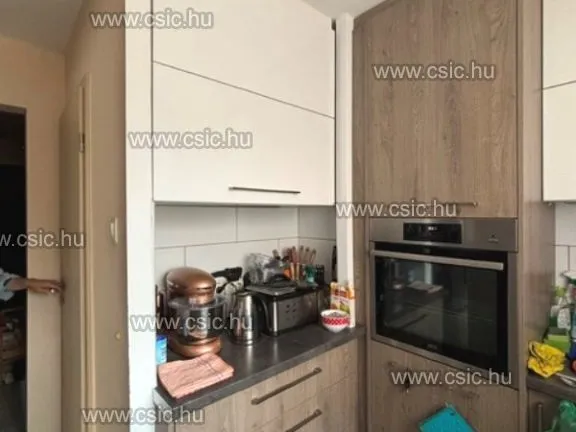 Eladó lakás Budapest III. kerület, Békásmegyeri ltp. Duna felől 66 nm